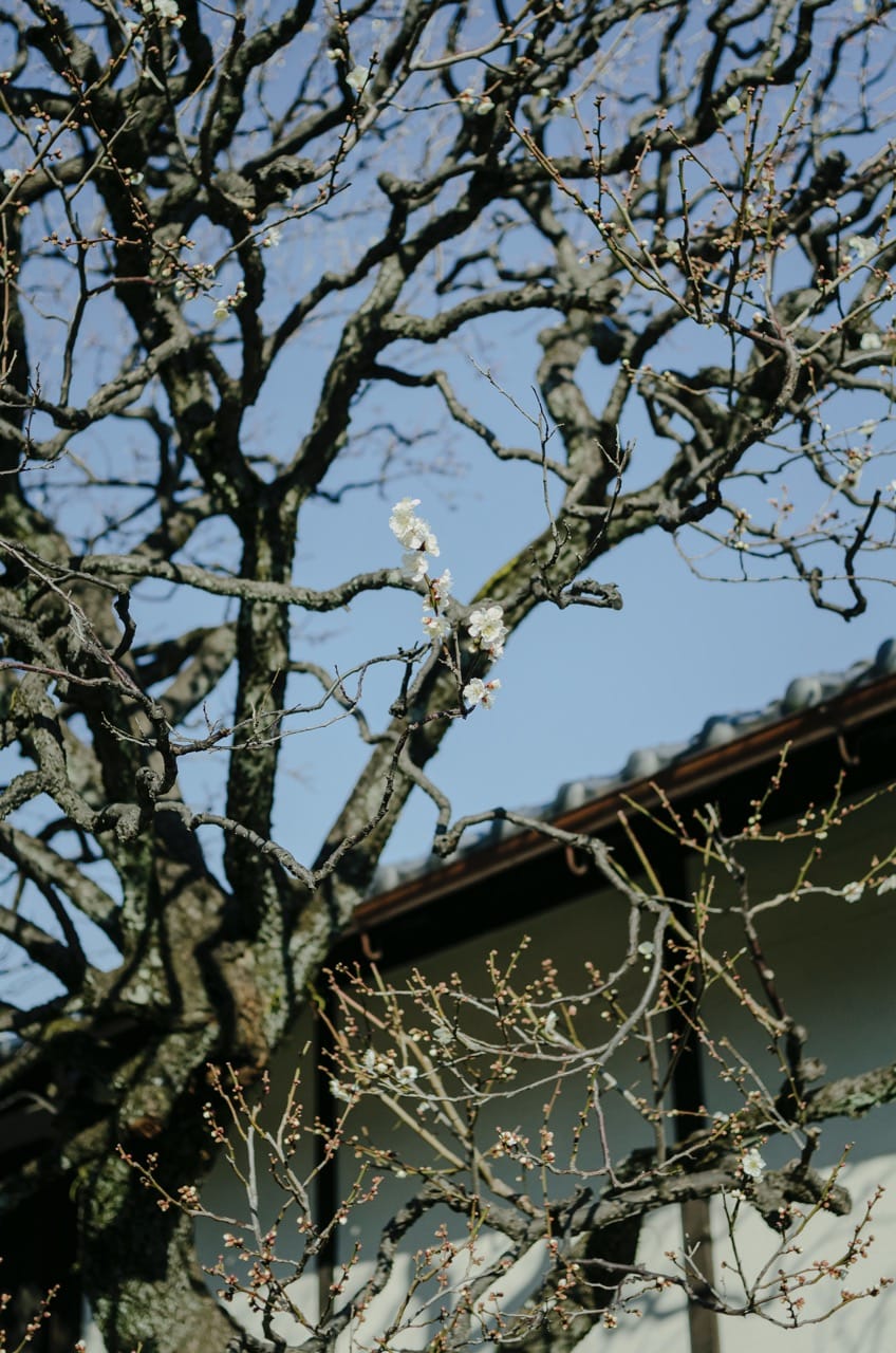 Превью Tokyo 2024